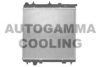 CITRO 133374 Radiator, engine cooling